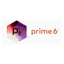Prime6